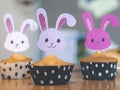 Bunny face cupcakes - creative cupcake ideas