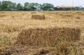 A low close-up view of a square bale of straw with a view of the rice paddies