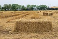 A low close-up view of a square bale of straw with a view of the rice paddies