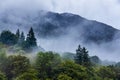 Low cloud and mist over a forest with mountain backdrop (Glencoe, Scotland Royalty Free Stock Photo