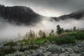 Low clouds in a mountain valley. A rocky hill with cedars in the morning mist. The sun barely peeks out from behind the clouds. Royalty Free Stock Photo