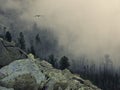 Low clouds over a cliff in a mountain valley. A rocky hill with cedars in the morning mist. The sun barely peeks out from behind Royalty Free Stock Photo