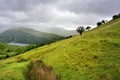 Hartsop Above How and Brothers water Royalty Free Stock Photo
