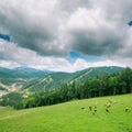 Low clouds over mountain Royalty Free Stock Photo