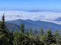 A View of the Mountains from Clingmans Dome