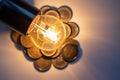 Low consumption ecological bulb on coins that represent the high cost of electricity.