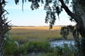 The marsh land of the Low Country is home to birds and other assorted wildlife Royalty Free Stock Photo