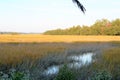 The Low Country is criss crossed with small rivers and streams winding through the tall grass