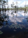 Water lowcountry swamp bauyo cypress trees sky clouds reflection