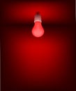 Low energy light bulbs Royalty Free Stock Photo