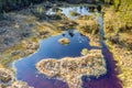 Low flight aerial photo of ordinary swamp in Swedish pine tree forest. Sunny day, no wind. Northern Sweden, Vasterbotten, Umea. Royalty Free Stock Photo