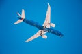 Low flying blue plane with white wings Airplane landing. Airplane on a blue isolated background. Italian Airlines.