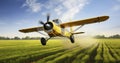 Low flying yellow plane sprayed crops in the field