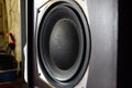 Low frequency speaker of vintage Soviet acoustics. Dynamics 30gd-2 Royalty Free Stock Photo
