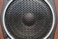 Low frequency speaker of vintage Soviet acoustics. Dynamics 30gd-2 Royalty Free Stock Photo
