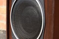 Low frequency speaker of vintage Soviet acoustics. Dynamics 30gd-2 Royalty Free Stock Photo