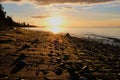 Low, golden sun highlights texture of beach, Rathtrevor Provincial Park