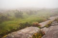 Low grass and bushes growing over terrain with large round stones, mist at background. Typical landscape seen during trek to Pic Royalty Free Stock Photo