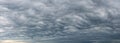 Low gray stratocumulus clouds covered the whole sky. Dark overcast sky panorama. Wide image of scenic rainy clouds. Dramatic sky