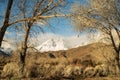 Winter trees, hills, snowy mountain shrouded in clouds Royalty Free Stock Photo