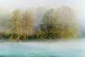 Low hanging mist around trees over grass on early foggy morning in the fields. Mysterious atmosphere in nature landscape Royalty Free Stock Photo