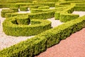 Low hedges of box tree pruned in geometric shapes in a french formal garden