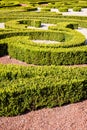 Low hedges of box tree pruned in geometric shapes in a french formal garden