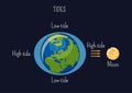 Low and high lunar tides diagram. Effect of Moon gravitational force on seacoast water level. Royalty Free Stock Photo