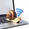 low internet speed. snail on laptop and wifi icon. ai generative