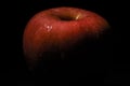 Low key and selective focus picture of apple on dark background. Royalty Free Stock Photo