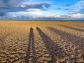 Low level shadows on Deal Beach, Kent, UK Royalty Free Stock Photo