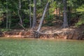 Lakeshore erosion with falling tree Royalty Free Stock Photo