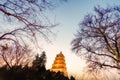 Low light scenery of big wild goose pagoda,Xian,China Royalty Free Stock Photo