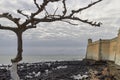 A Low lying Tree sits in the foreground of Ana Chaves Nay, and the Corner Walls of the Sao Sebastiao fort in Sao Tome.