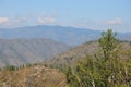 A low pine tree on top of a hill against the backdrop of a mountain top in a beautiful valley under a summer cloudy sky Royalty Free Stock Photo