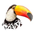 Vector low poly tucano bird
