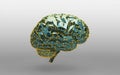 Low poly abstract digital human brain. Neural network. Science and Technology concept. 3d rendering