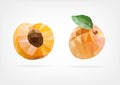 Low Poly Apricot fruit