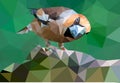 Low-poly bird. Colorful vector illustration. Interesting bird. Royalty Free Stock Photo