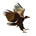 Low poly bird