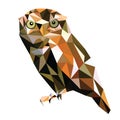 Low poly bird