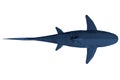 Low poly blue shark. 3D. View from above. Vector illustration