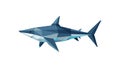 Low Poly Blue Shark Vector Illustration, vector design Generative AI Royalty Free Stock Photo