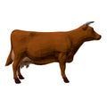 Low poly brown cow. Side view. 3D. Vector illustration