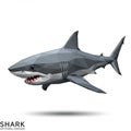 Low-poly 3D illustration of a shark, featuring sharp angular facets and a Royalty Free Stock Photo