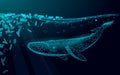 Low poly 3D whale plastic ocean pollution swimming undersea. Water surface dark night glowing wave garbage. Save help