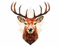 Low Poly Deer Head Royalty Free Stock Photo