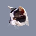 Low Poly Design. Polygonal Color Cat Illustration.