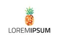 Low Poly Dot Connect Orange Pineapple Logo Design