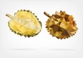 Low Poly Durian fruit Royalty Free Stock Photo